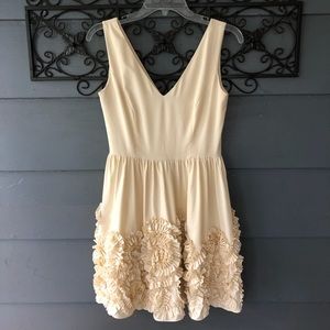 Fun & Flirty Dress